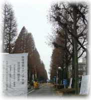 大学ゲート
